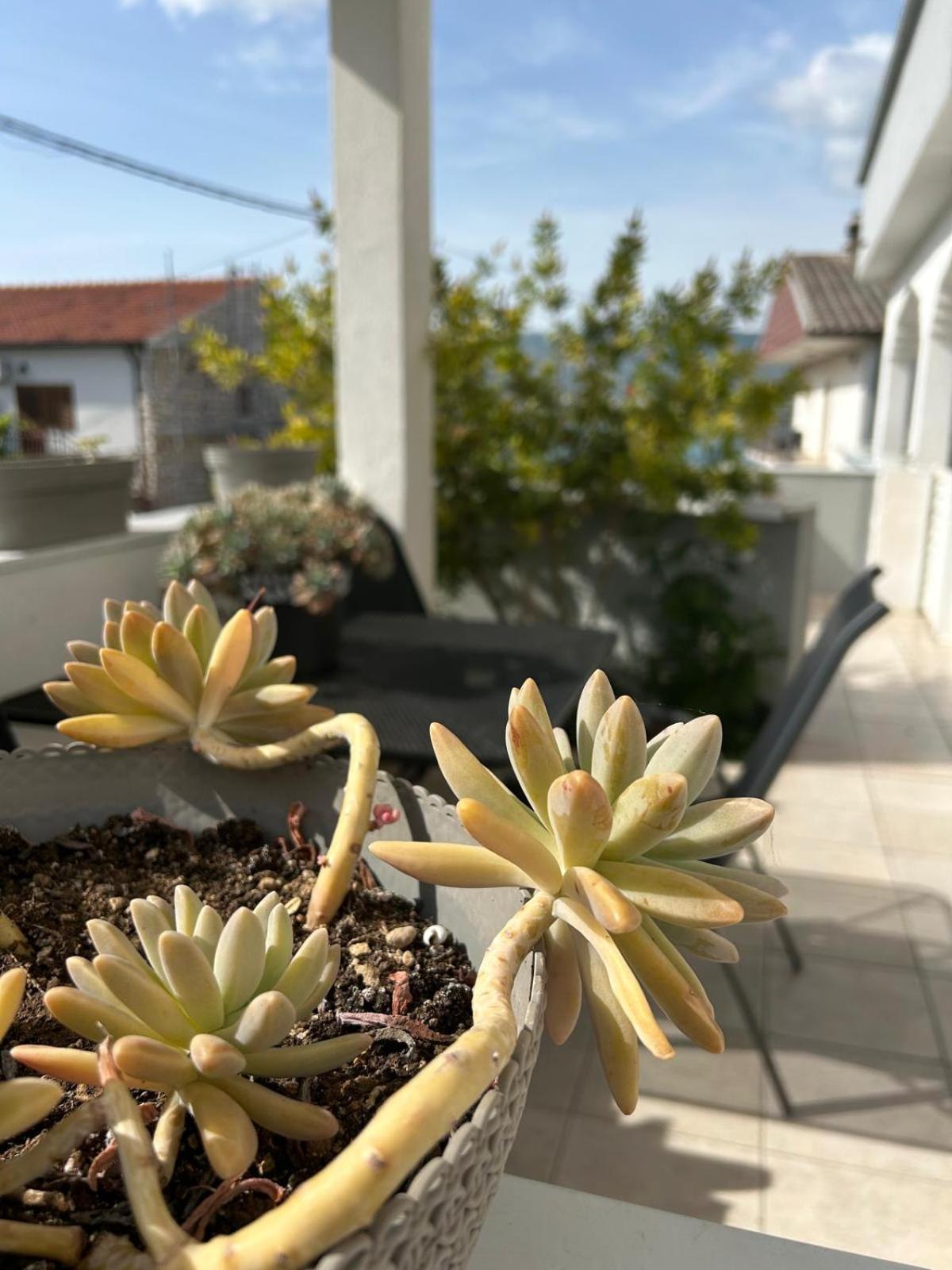 Apartmani Grgic Trogir Dış mekan fotoğraf